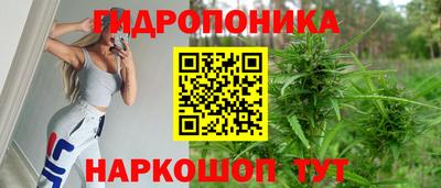 бутират Сланцы