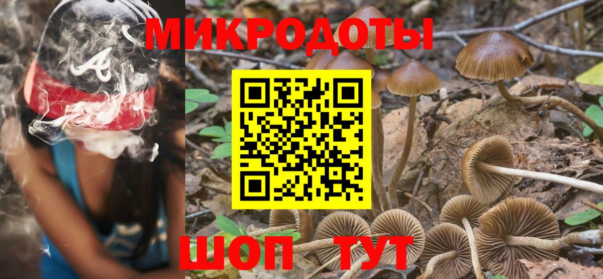 закладки  Галлюциногенные грибы Psilocybe  Вход с VPN  Осинники 