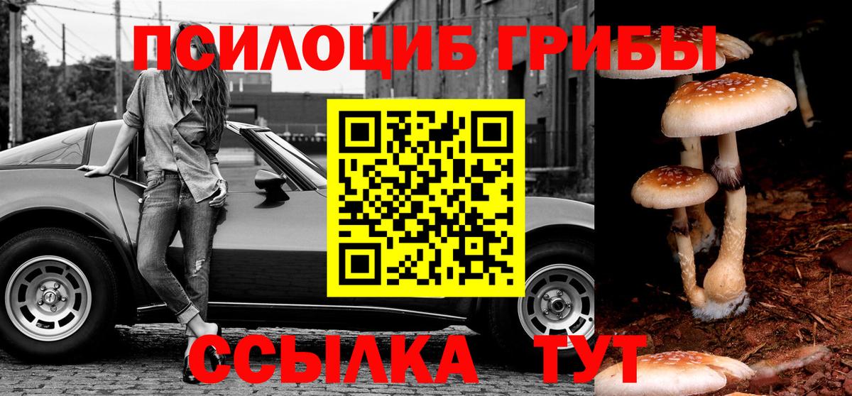 Галлюциногенные грибы прущие грибы Осинники